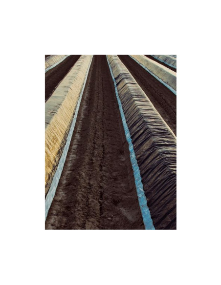 Plástico Negro Agricultura Obra G700 - 1/4 - 6X75 Metros