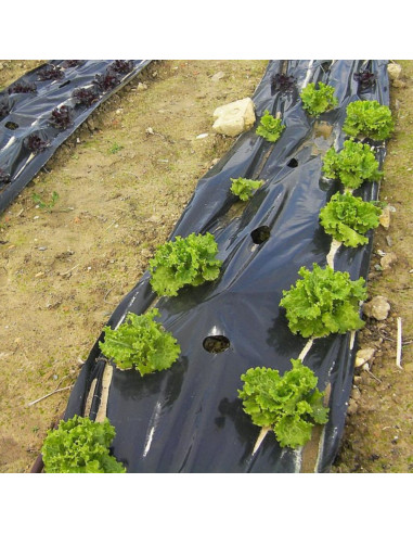 Plástico Negro Agricultura Obra G600 - 1/2 -...