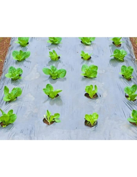 Plástico Transparente Agricultura Obra G600 - 1/4 - 6x85 Metros