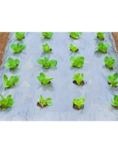 Plástico Transparente Agricultura Obra G700 -...