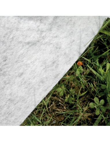 Piscina Avantgarde Redonda - GRE