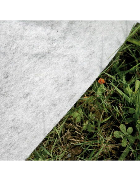 Piscina Avantgarde Redonda - GRE