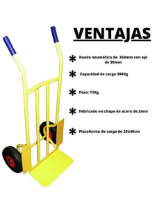 Carretilla Almacén Rueda Neumática 300 Kg 2