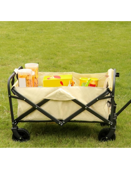 Carro Acero Playa Plegable 50 Kg - 75x53x48 cm