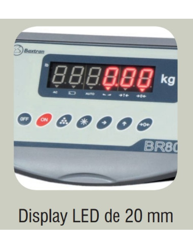 Báscula Industrial - 30 kg - 450x350 mm
