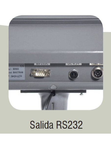 Báscula Industrial - 30 kg - 450x350 mm