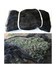 Manto Aceitunas Recolección - 80 g/m² - Negro - 7x14 m