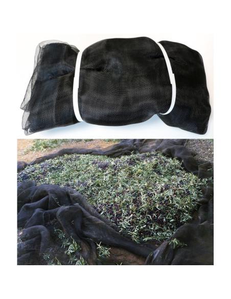 Manto Aceitunas Recolección - 80 g/m² - Negro - 7x14 m