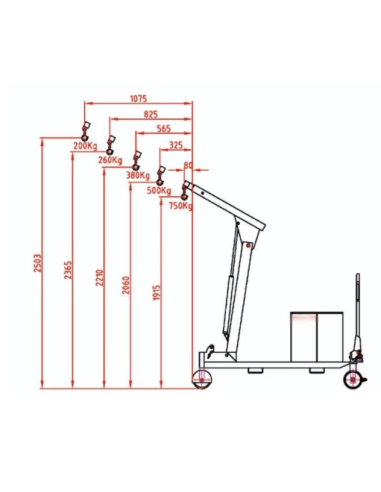 Grúa Contrapesada Larga Plegable - 750 Kg