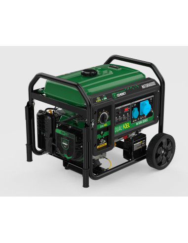 Generador Dual Propano - Gasolina NATURA 5500W - 230V