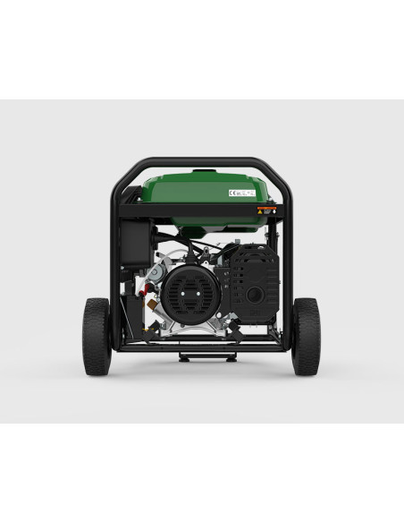 Generador Dual Propano - Gasolina NATURA 8500W - 230V