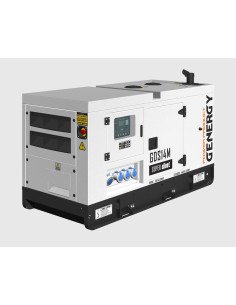 Generador Genergy GDS14M Insonorizado 14KVA - 230V