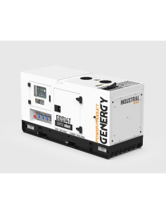 Generador Genergy GDS14T Insonorizado 14KVA - 400/230V