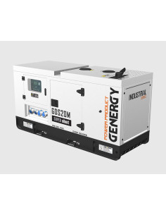 Generador Genergy GDS20M Insonorizado 20KVA - 230V