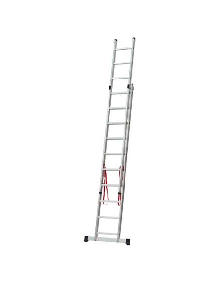 Escalera Profesional Elite X2 2x10 Aluminio 5,87 m EN131