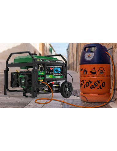Generador GENERGY NATURA 6000 5500 W Gasolina/Propano SVR