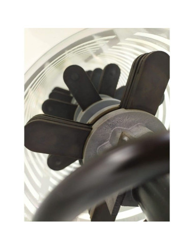 Peladora Almendras Eléctrica - 2,5 Hp