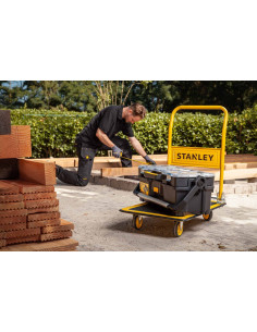 Carro Acero SXWTD-PC527 - 150 Kg 2