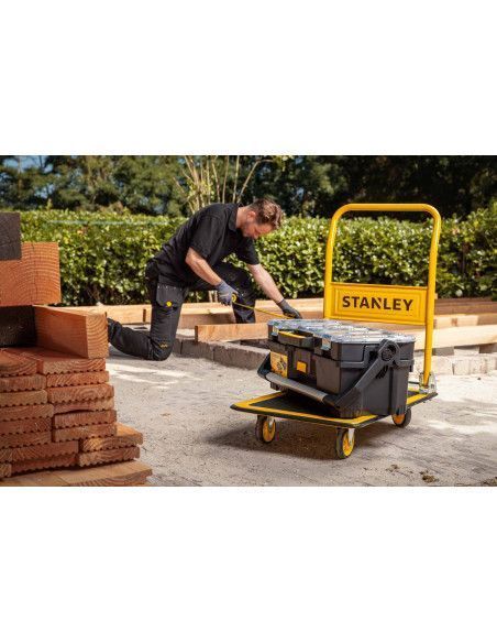 Carro Acero SXWTD-PC527 - 150 Kg