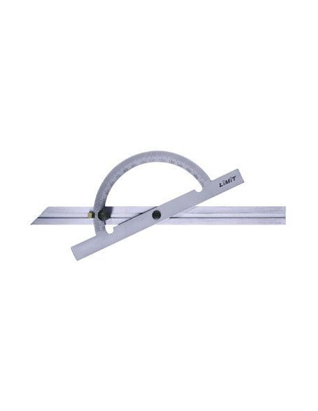 Transportador Angulos  300 Mm