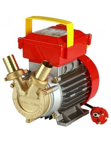 Bomba Trasvase Rover Pompe 20 CE Bronce